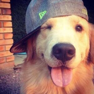 Meet your Posher, Leiana